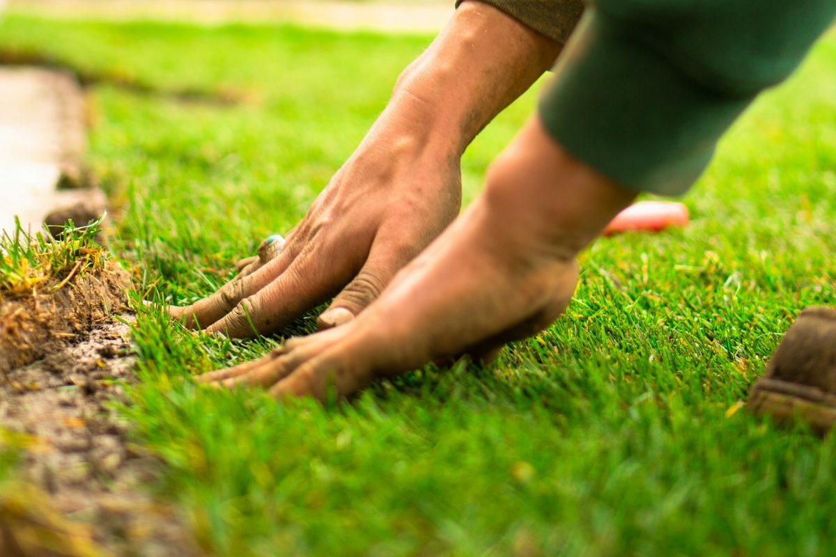 Hands laying fresh rolls of turf on prepared ground